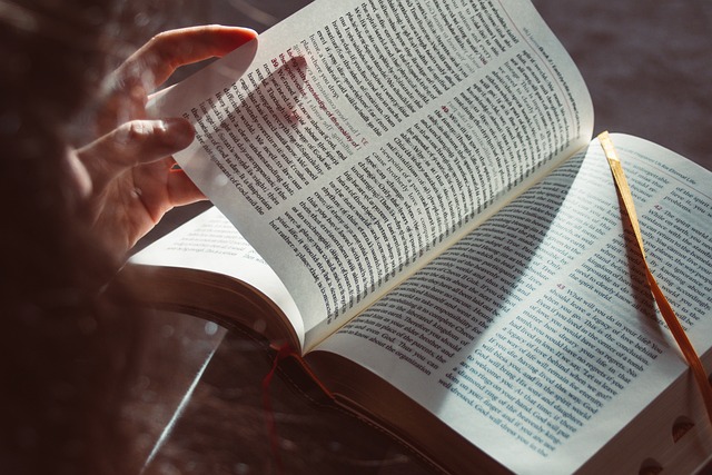 英国伦敦商业金融学院新加坡校区的优质课程