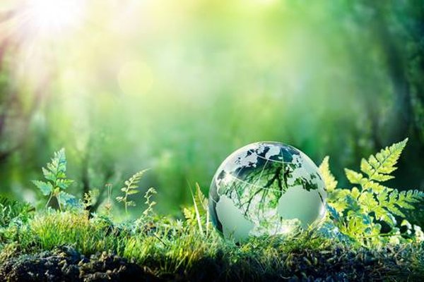 伦敦商业与金融学院新加坡校区申请条件全解析,入学门槛高吗?